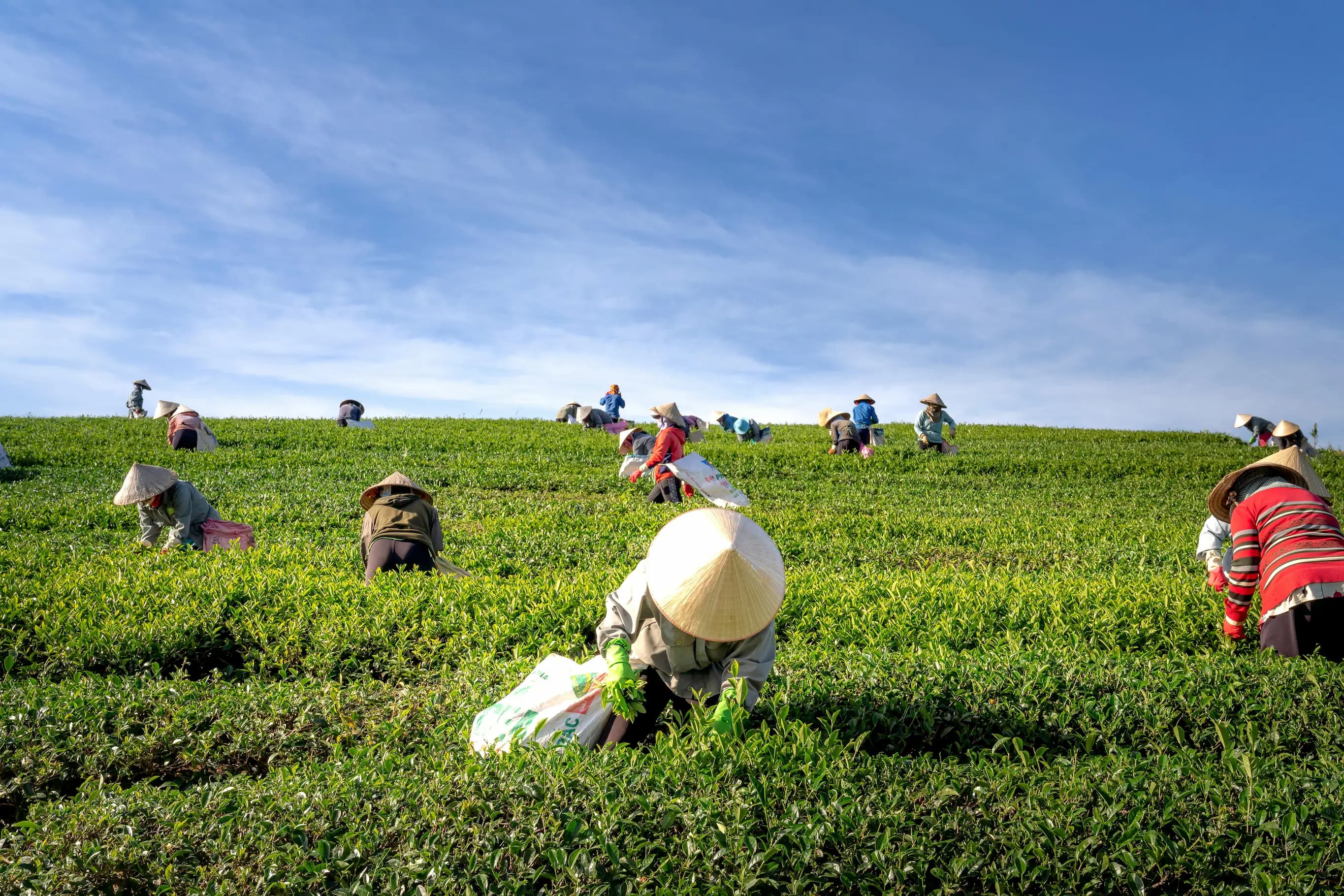 Fully integrated agricultural ecosystem